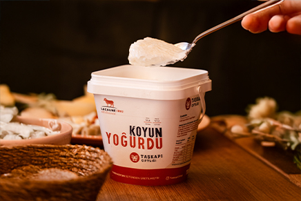 Koyun Yoğurdu