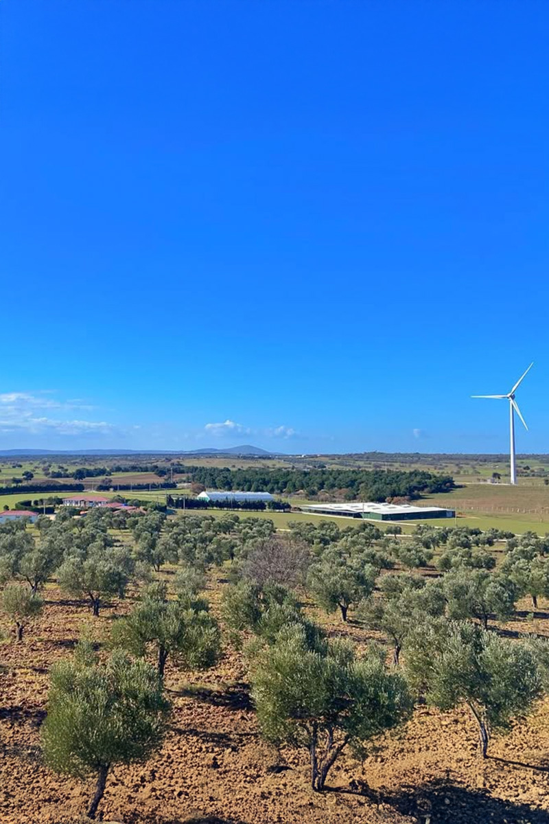 Taşkapı Çiftliği