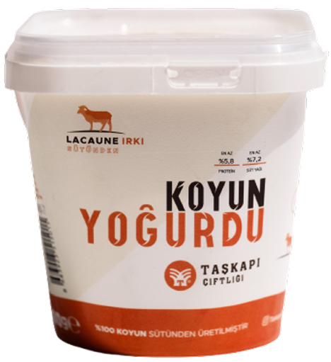 Koyun Yoğurdu